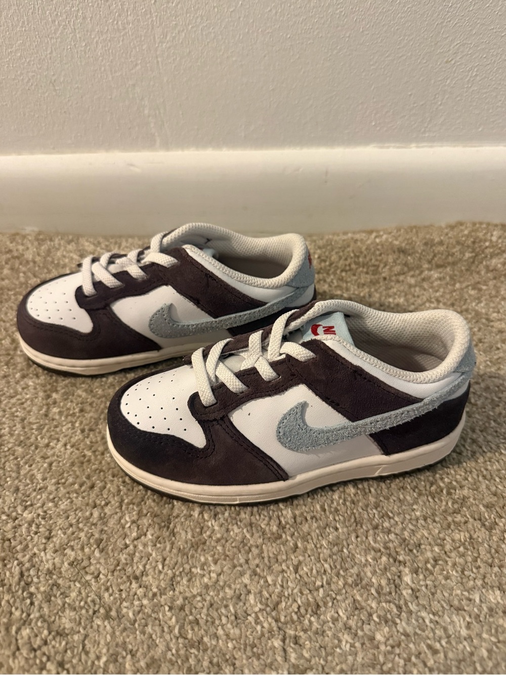Kids Nike Dunk Lows
